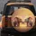 Baby Elephants Glowing Heart Trunks Touching - Dreamlike Wildlife Lover Gift Spare Tire Cover - 5