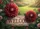 duiyfppz/products/6a045f5a881a332086a23a5a/gallery/pT67X3WEBm