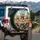 Funny Bengal Tigers Tropical Jungle Savanna - Wildlife Lover Gift Spare Tire Cover - 3