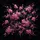 Cherry Blossom Branches Pink Flowers Starburst - Travel Essentials Spare Tire Cover - 6