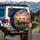 Playful Cows Pastoral Sunset - Farmhouse Home Decor Gift for Cow Lover Spare Tire Cover - 3