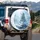 Majestic White Lion Snow Leopard Hybrid Ice Crystals - Fantasy Art Lover Gift Spare Tire Cover - 3