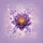 Purple Lotus Flower Butterfly Vine Home Decor Gift for Yoga Lover Spare Tire Cover - 6