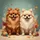 Brown White Pomeranian Dogs Teal Background - Dog Lover Gift Spare Tire Cover - 6