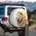 Majestic White Lion Golden Fire Mane Glowing Eyes - Fantasy Wildlife Home Decor Accent Spare Tire Cover - 3