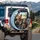 Yorkie Dogs Driving Car & Puppy Passenger - Dog Lover Vehicle Decor Gift Spare Tire Cover - 3