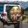 Smiling Shih Tzu Dogs Car Interior Adventure - Dog Lover Travel Essentials Gift Spare Tire Cover - 3