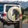 Black Horse White Blaze Beige Cream Gold Leaf - Horse Lover Vehicle Decor Gift Spare Tire Cover - 3