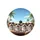 Four Dogs Sunglasses Tropical Landscape - Joyous Journey Travel Essentials for Dog Lovers Spare Tire Cover - 4
