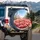 Vibrant Pink Flamingos City Park Blend - Wildlife Lover Gift Spare Tire Cover - 3