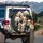 Expressive Shih Tzu Puppies Fluffy Fur Cluster - Pet Lover Outdoor Use Gift Spare Tire Cover - 3