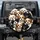Expressive Shih Tzu Puppies Fluffy Fur Cluster - Pet Lover Outdoor Use Gift Spare Tire Cover - 1
