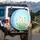 Dandelion Seed Heads Green Grass Sky Field - Everyday Car Decor Gift Spare Tire Cover - 3