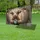 duiyfppz/products/6a046dddfcb76686d454bbb5/gallery/_0wtRG5I8G