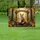 duiyfppz/products/6a046e266973e244610f9684/gallery/VM3FVz14g3