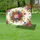 duiyfppz/products/6a04705afcb766c17054bed2/gallery/f3gMZ_I9mh