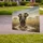 duiyfppz/products/6a047086fcb7669eb854bf03/gallery/s-mrTdqnd1