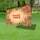 duiyfppz/products/6a047274dfc8d8fb865ccd63/gallery/GrC0Kj_H6B