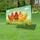 duiyfppz/products/6a0472be83ebb1190626e887/gallery/cLgfzDE5_f