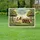 duiyfppz/products/6a0473badfc8d88ee65ccf7d/gallery/vaaz1PihO-