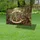duiyfppz/products/6a0475acdfc8d8f0d35cd339/gallery/RLN_ughi6h