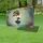 duiyfppz/products/6a04767afcb7660e5254c902/gallery/gL0cIKxXqT