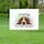duiyfppz/products/6a0477da6973e242dd0fa594/gallery/mtZT2UKDKi