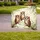 duiyfppz/products/6a047a872728040615ea3655/gallery/8bAj9nKZna