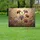 duiyfppz/products/6a047bc683ebb1fb9b26f50f/gallery/FX85lZSQ8T