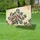 duiyfppz/products/6a048121dfc8d872b45ce125/gallery/8rs30IlM0h
