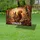 duiyfppz/products/6a0481b92fd8cdb12cddd80b/gallery/-sWEda3E5R