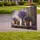 duiyfppz/products/6a0482dfe5eb821338fcd159/gallery/4Ez50aSPUP