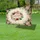 duiyfppz/products/6a048341dfc8d85aa75ce3c2/gallery/lpEK4RJRbV