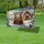 duiyfppz/products/6a0487ad5e9ce551d58429e5/gallery/SXg_ktMZ9y