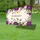duiyfppz/products/6a04880e6973e258820fb9c1/gallery/0YWNmCRry-