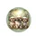 Three Shih Tzu Dogs Sun-Dappled Leaves Golden Light Blue Sky - Outdoor Adventure Dog Lover Gift Spare Tire Cover - 4