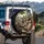 Funny Donkeys Driving Car - Road Trip Humor Gift for Animal Lovers Spare Tire Cover - 3