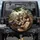 Funny Donkeys Driving Car - Road Trip Humor Gift for Animal Lovers Spare Tire Cover - 1