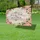 Roses Green Leaves Scrollwork Family Blessing Quote Rustic Wood Panel - Family Home Decor Gift Yard Sign - 4