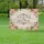 Roses Green Leaves Scrollwork Family Blessing Quote Rustic Wood Panel - Family Home Decor Gift Yard Sign - 5