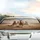 Three Powerful Galloping Horses Arid Desert Landscape - Equestrian Lover Gift Car Sunshade - 5