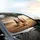 Three Powerful Galloping Horses Arid Desert Landscape - Equestrian Lover Gift Car Sunshade - 6