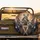Kangaroos Koala Eyeglasses Australian Flag - Wildlife Lover Gift for Animal Fans Spare Tire Cover - 2