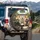 Shiba Inu Driving Car Joyful Road Trip - Dog Lover Gift for Shiba Owners Spare Tire Cover - 3