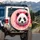 Panda Face Pink Fuchsia Paint Splatter - Wildlife Lover Travel Essentials Spare Tire Cover - 3