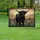 duiyfppz/products/6a051bf89a54ae00458fc7ef/gallery/ld_B_Dc2XP
