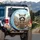 Raccoon Picket Fence Wildflowers - Wildlife Lover Outdoor Decor Gift Spare Tire Cover - 3