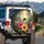 Bumblebee Hibiscus Monarch Butterflies Tropical Jungle - Wildlife Lover Gift Spare Tire Cover - 3
