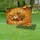 duiyfppz/products/6a051cc79a54ae92e38fcb85/gallery/2zYCC3rlg-