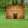 duiyfppz/products/6a051d3b5e9ce52c5584ca9f/gallery/gjjmQps7bh